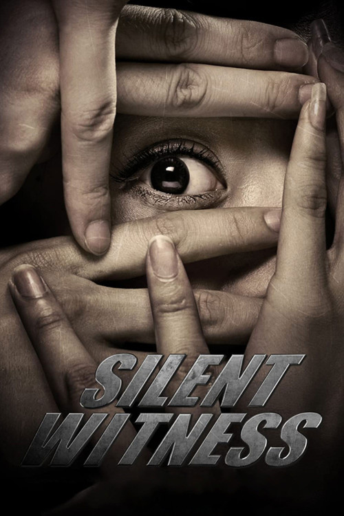 Quan min mu ji (2013) poster
