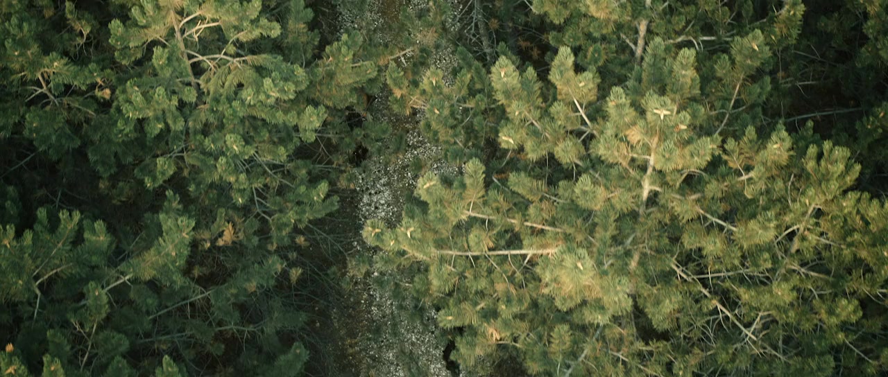 Silent Zone screenshot 1
