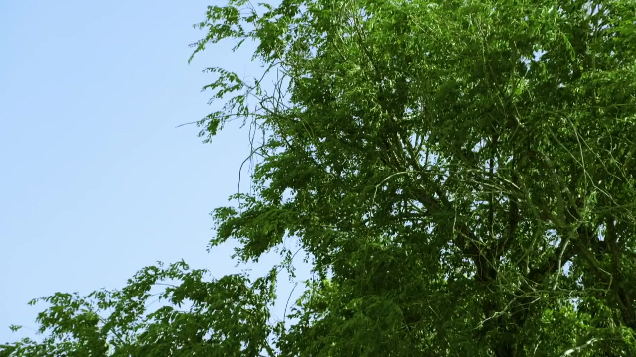 Silence in Sikeston screenshot 1