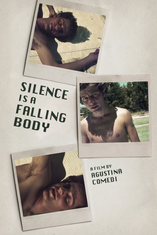 El silencio es un cuerpo que cae (2017) poster