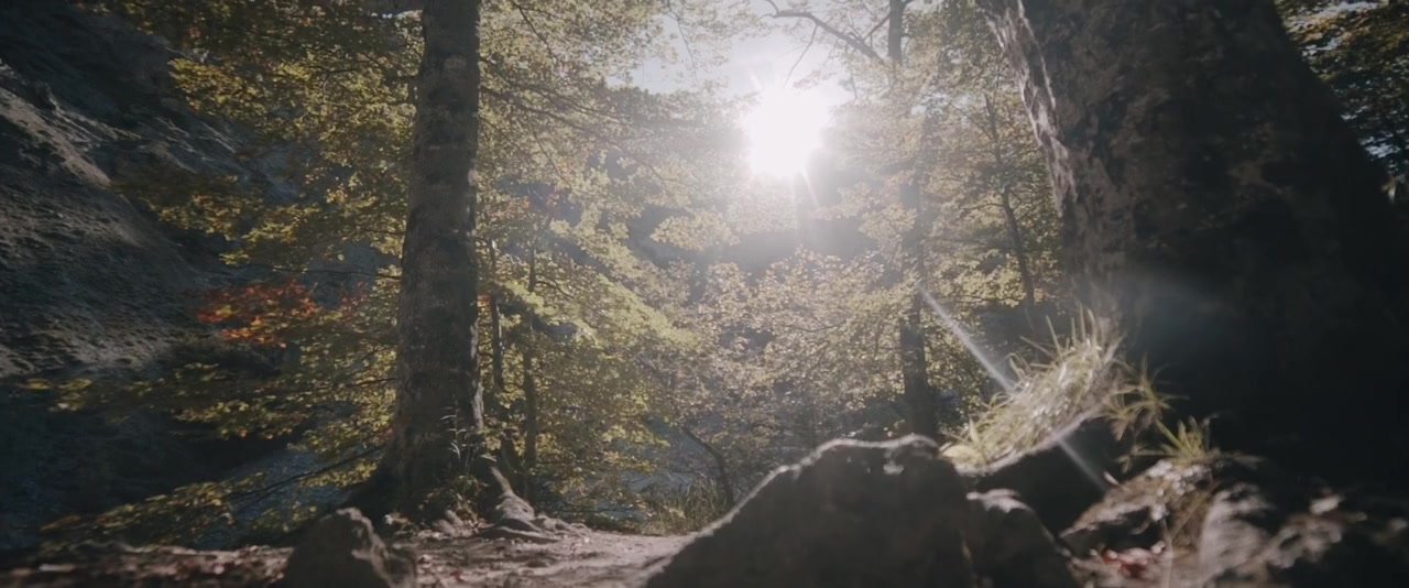 Silver, Speik and Sumpters screenshot 2
