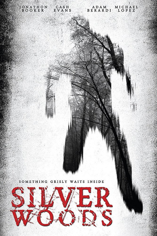 Silver Woods (2017) poster