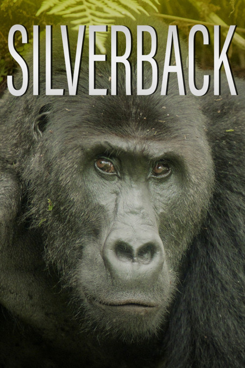 Silverback (2024) poster