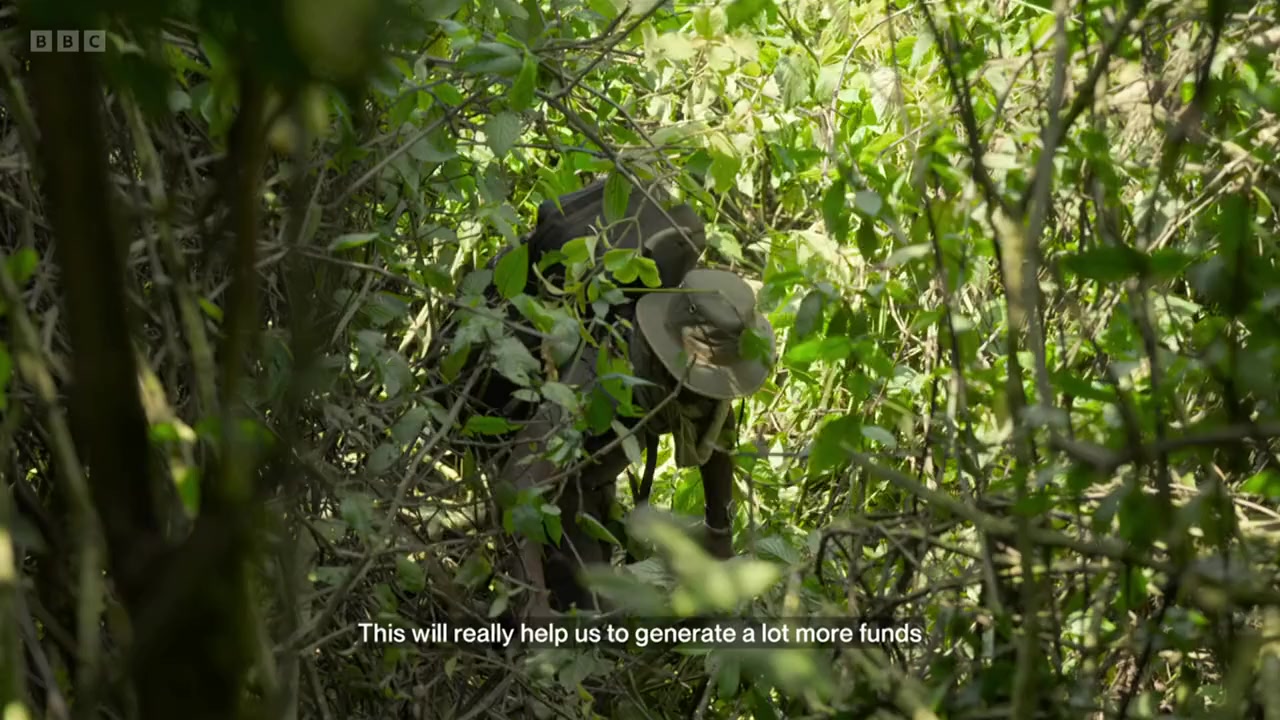 Silverback screenshot 3