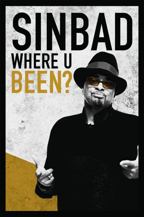 Sinbad: Where U Been? (2010) poster