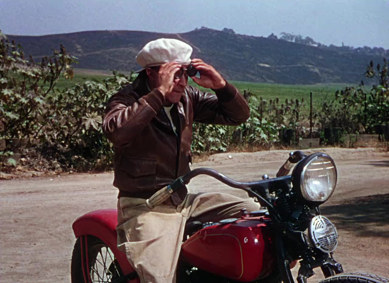 Singin' in the Rain screenshot 2