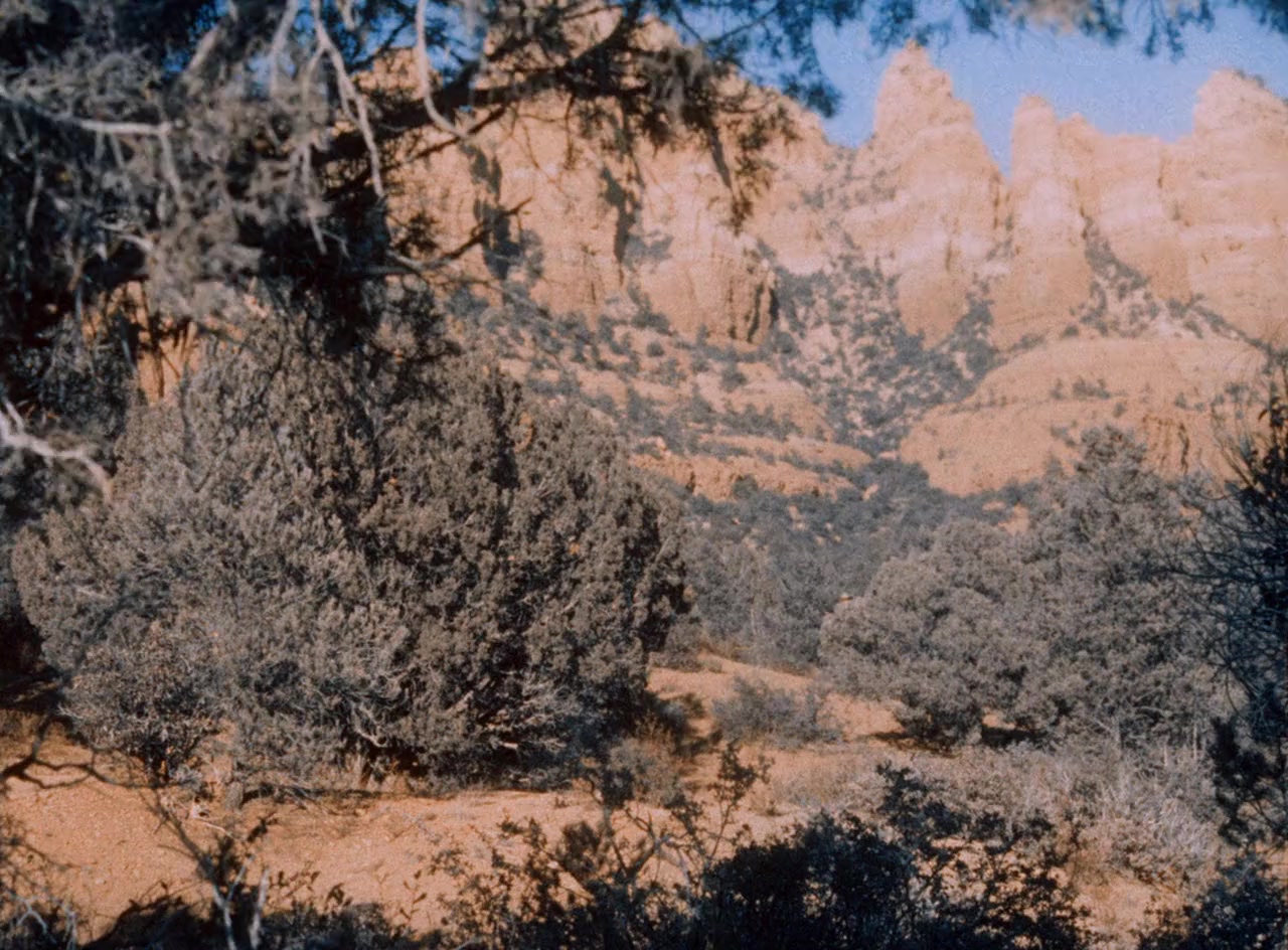 Singing Guns screenshot 2