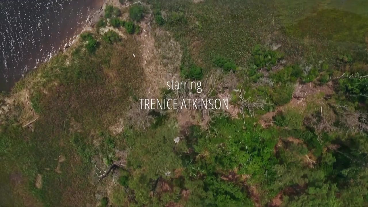 Single, Saved and Searching screenshot 1