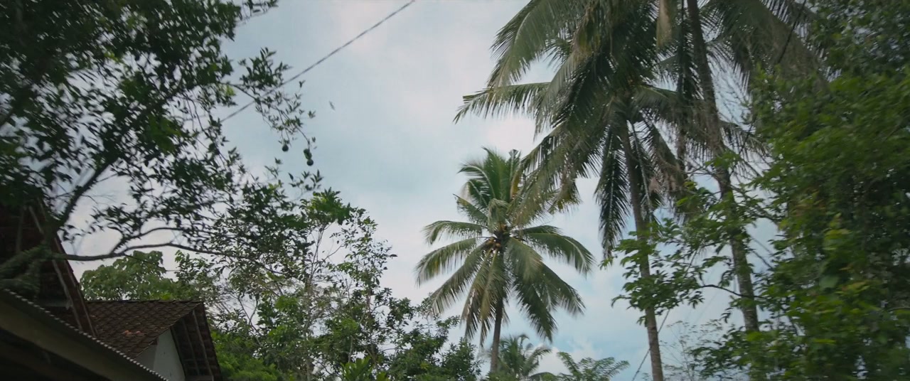 Singsot screenshot 1