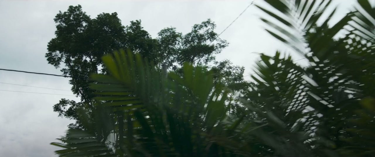 Singsot screenshot 3