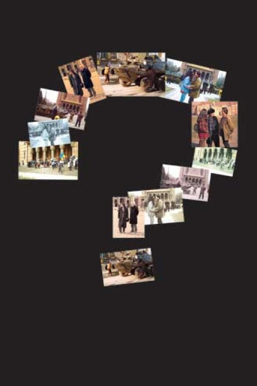 Sindromul Timisoara (2004) poster
