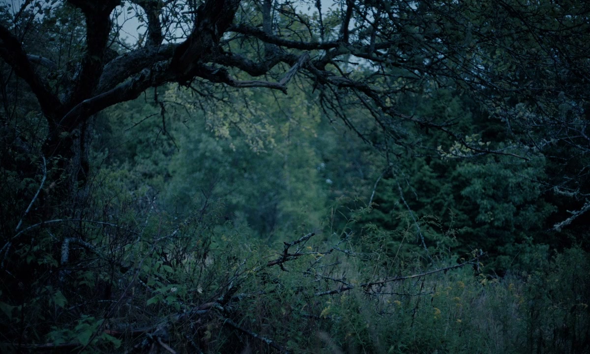 Sk+te'kmujue'katik screenshot 1