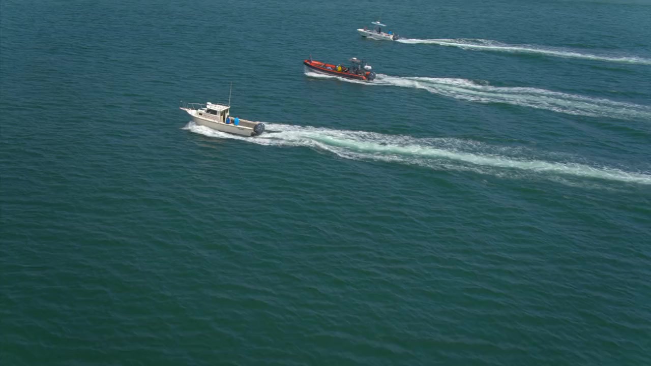 Sky Sharks screenshot 3