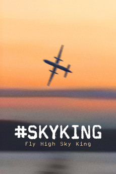 #Skyking (2026) poster