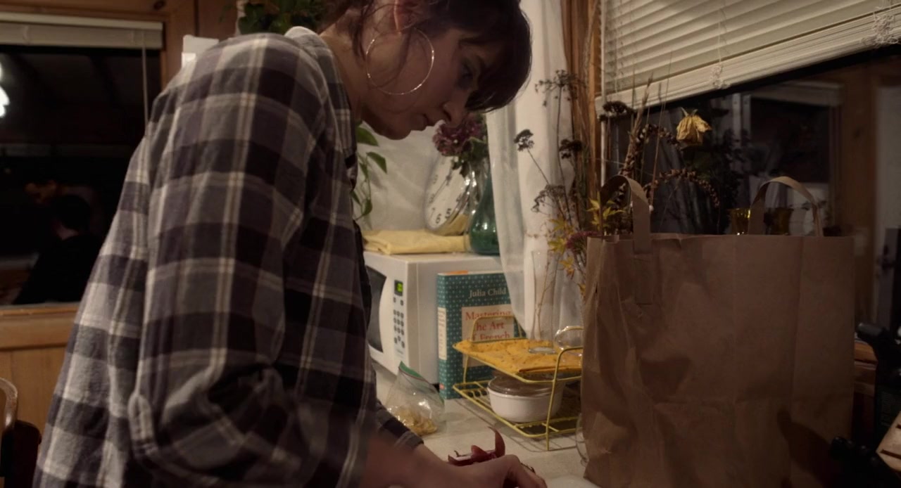 Skagit screenshot 1