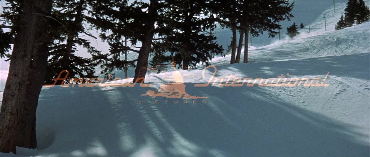 Ski Party screenshot 1