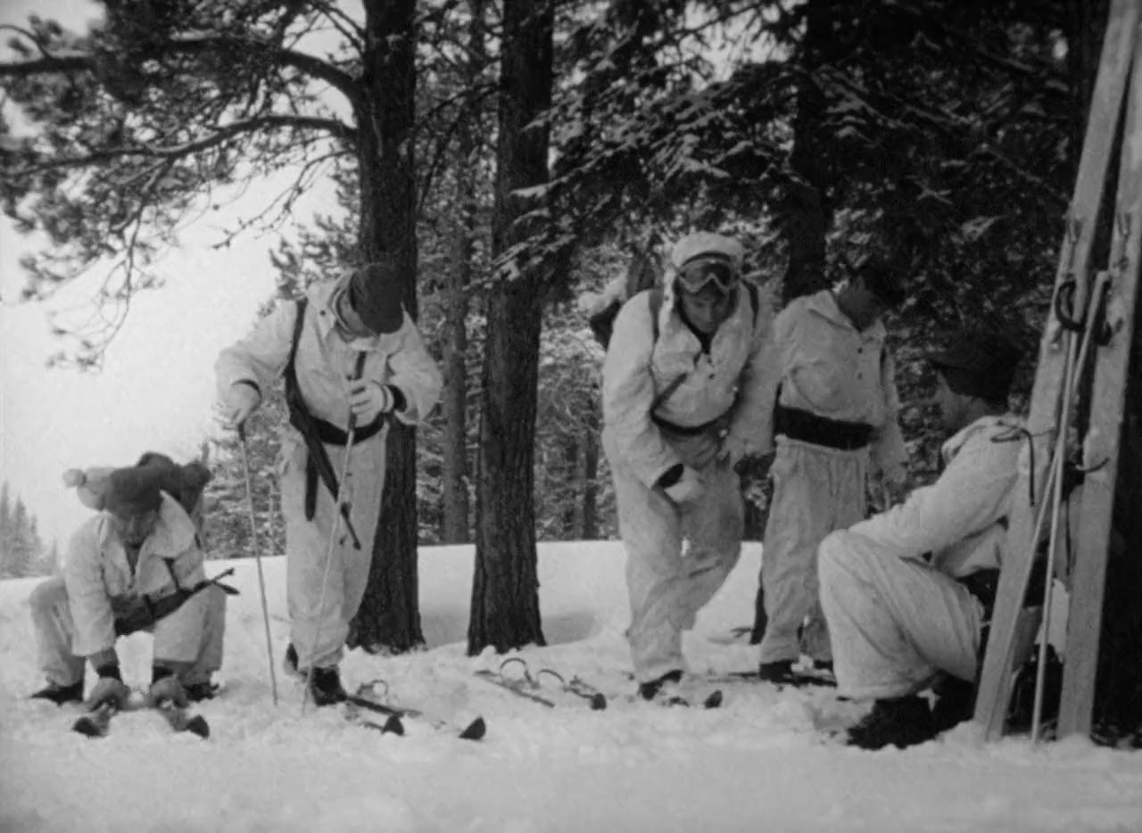 Ski Troop Attack screenshot 2