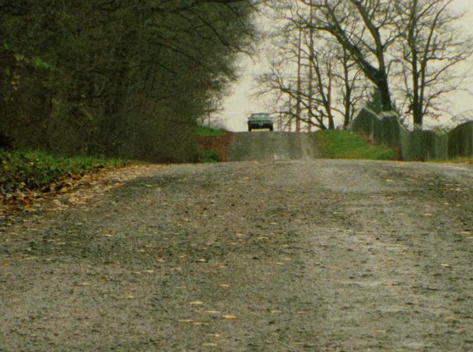 Skinned Alive screenshot 1