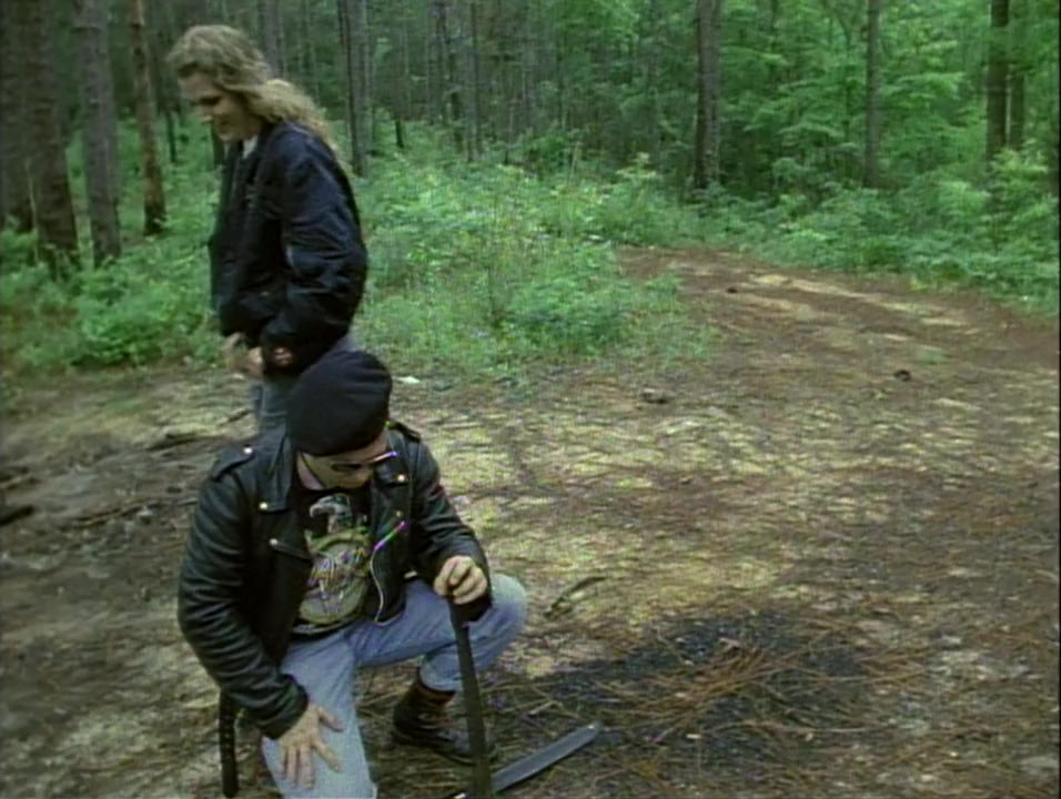 Skinheads USA: Soldiers of the Race War screenshot 1