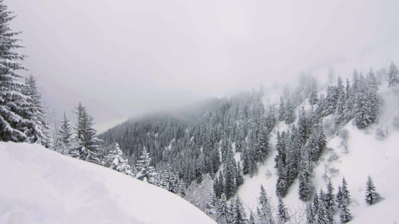 Skinvas screenshot 3