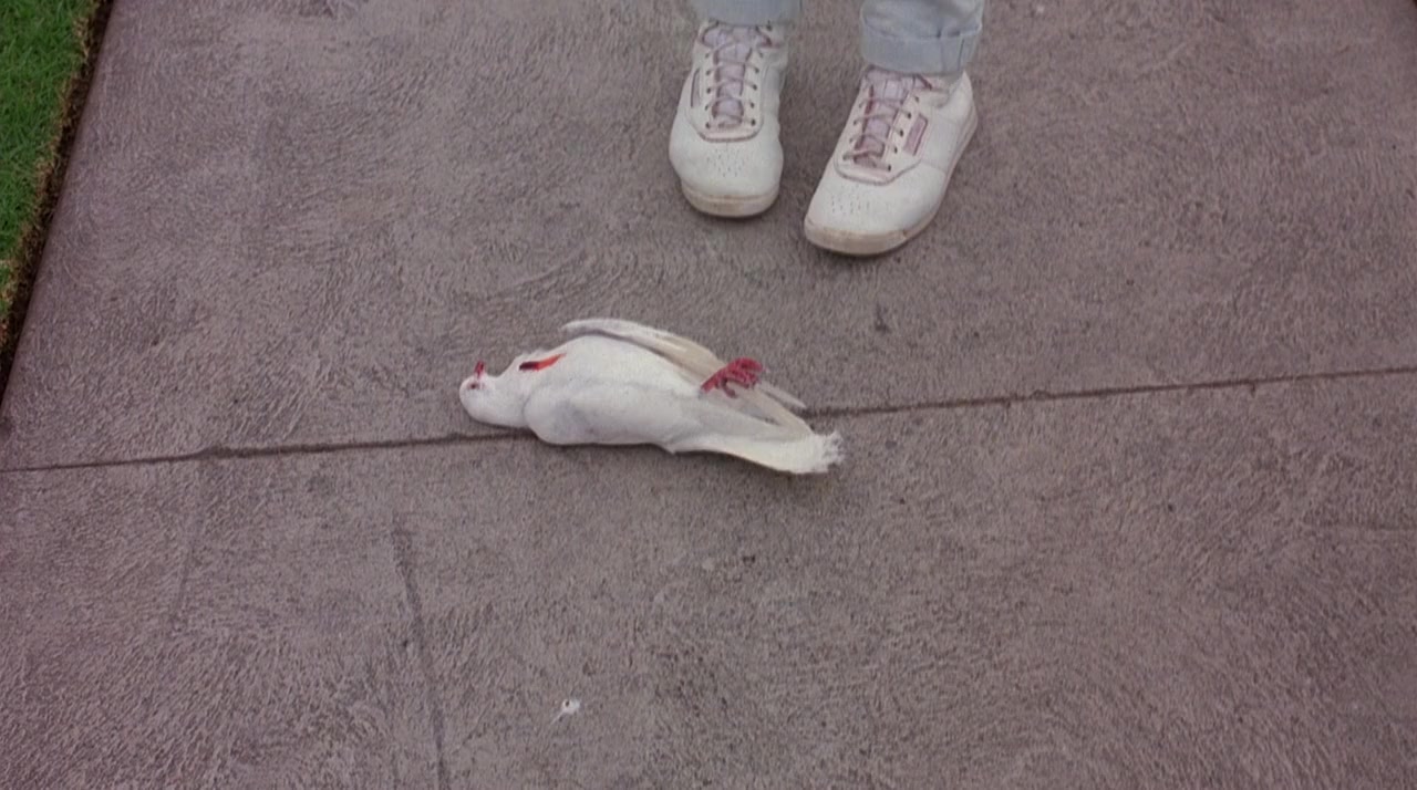 Slumber Party Massacre II screenshot 1