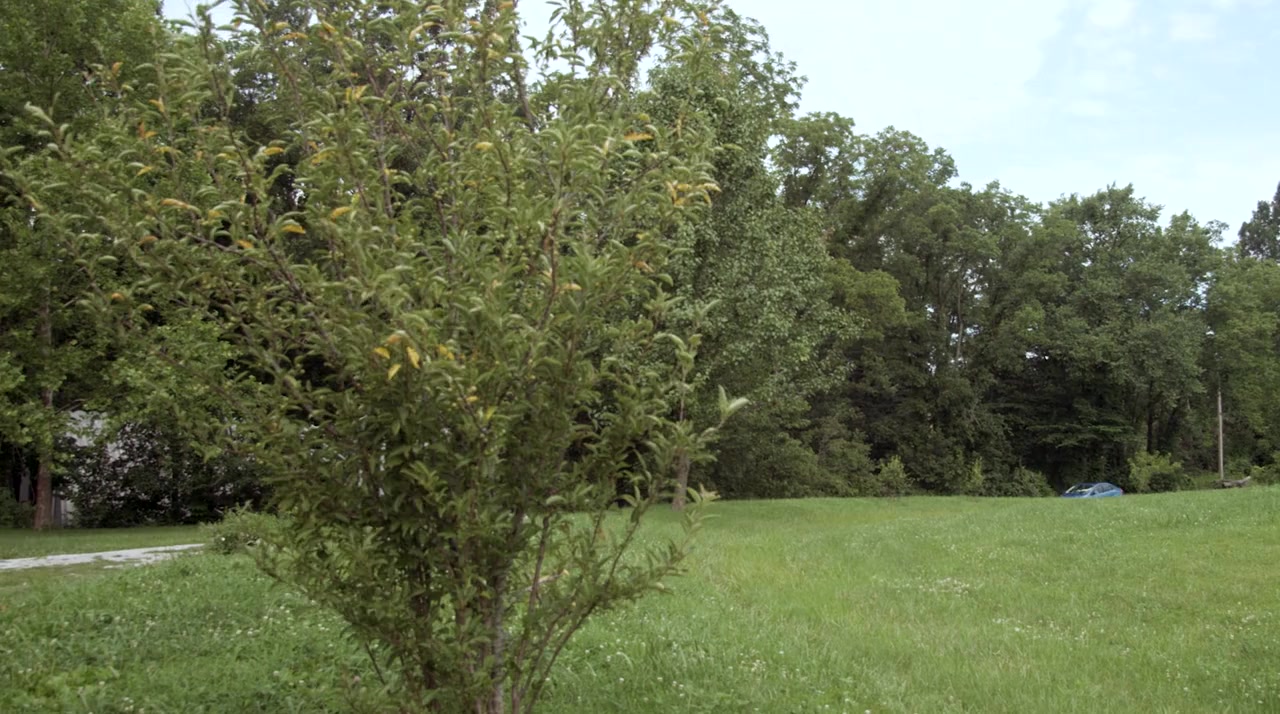 Slasher.com screenshot 1