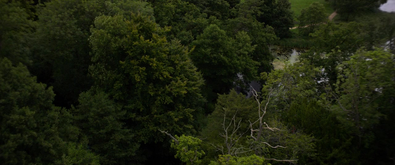 Slaughterhouse Rulez screenshot 1