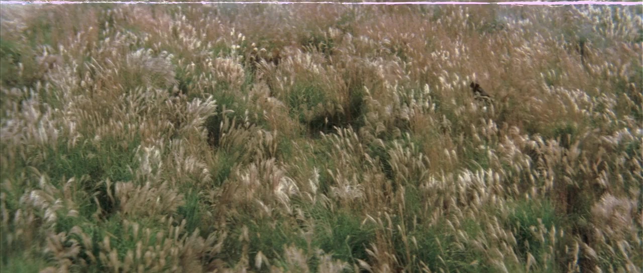 Nemuri Kyôshirô: Akujo-gari screenshot 1