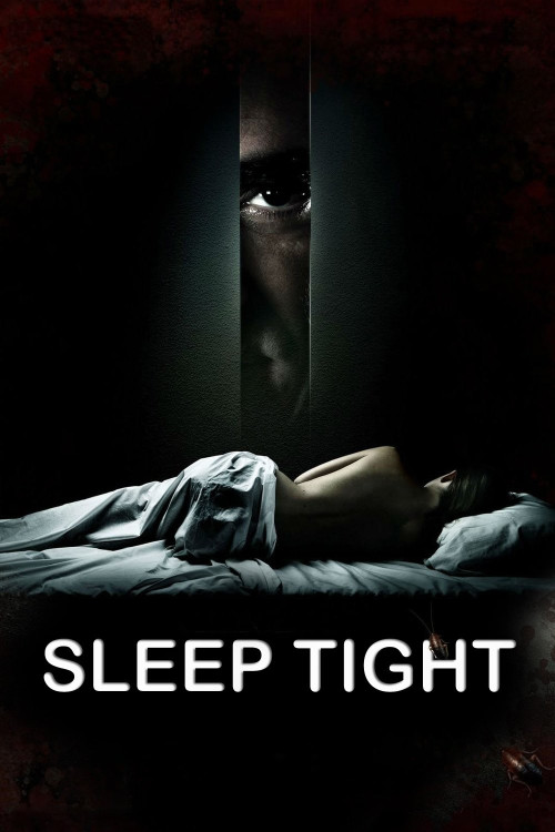 Mientras duermes (2011) poster