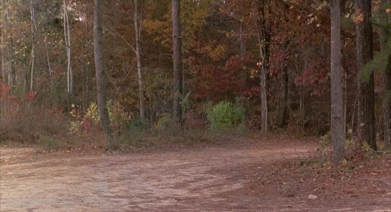 Sleepaway Camp III: Teenage Wasteland screenshot 1