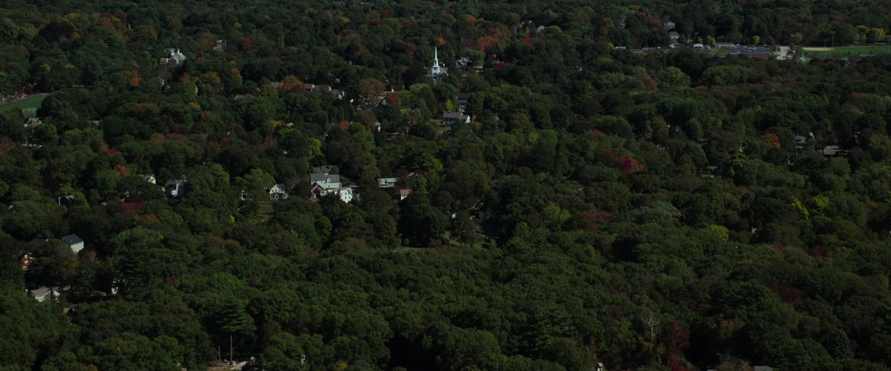 Slender Man screenshot 1