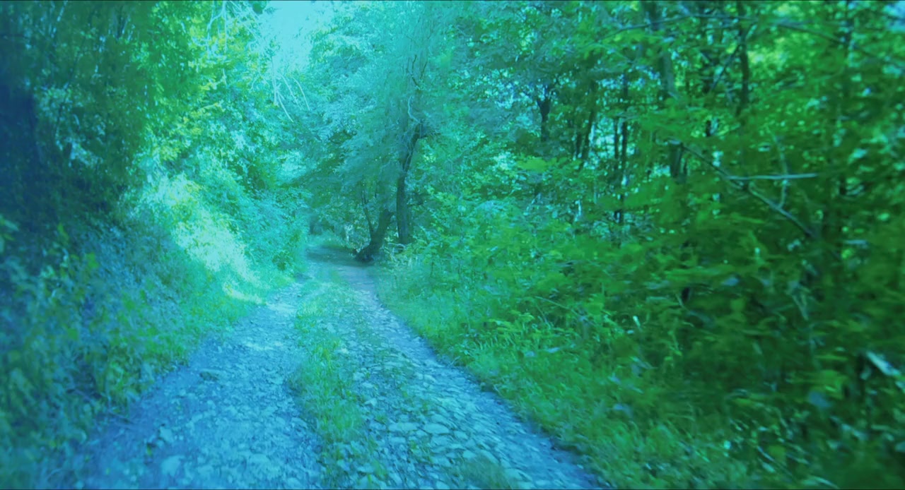 Slingshot screenshot 1