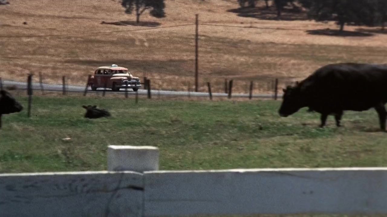 Slither screenshot 3