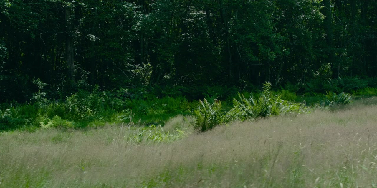 Space Oddity screenshot 2
