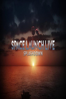 Space Launch Live: Splashdown (2020) poster