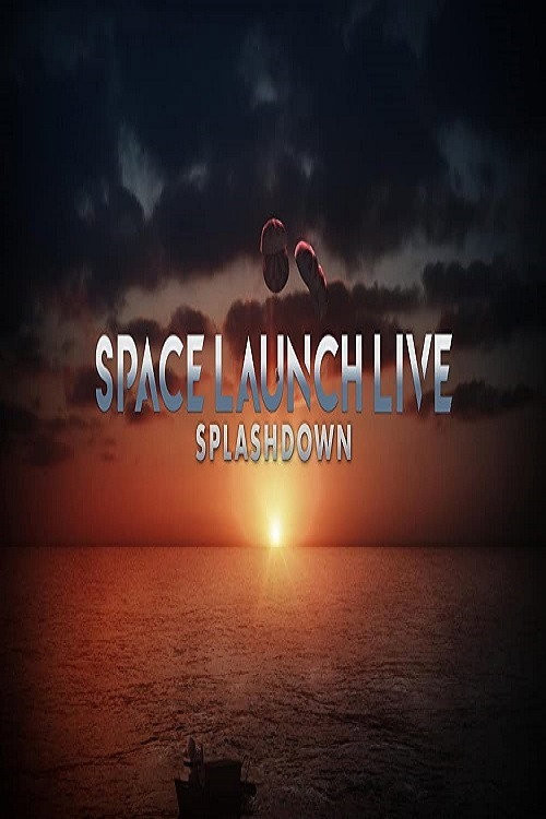 Space Launch Live: Splashdown (2020) poster