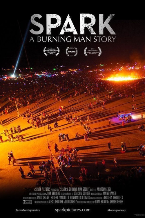 Spark: A Burning Man Story (2013) poster