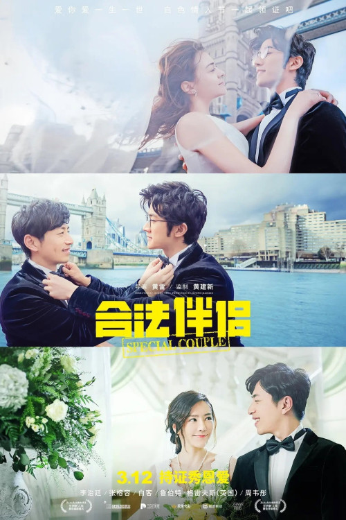 Special Couple (2019) poster