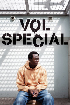 Vol spécial (2011) poster