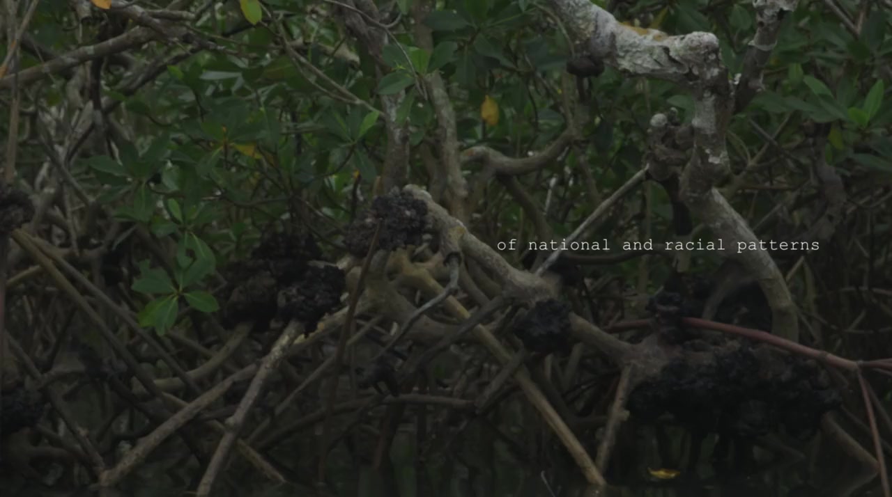 Spell Reel screenshot 2