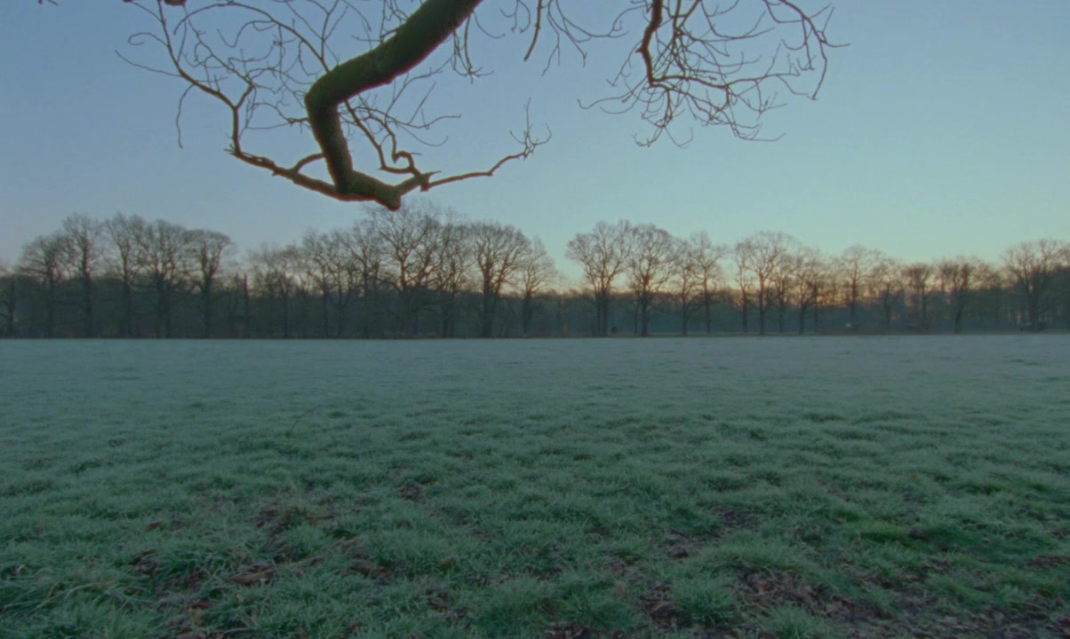 Spencer screenshot 2
