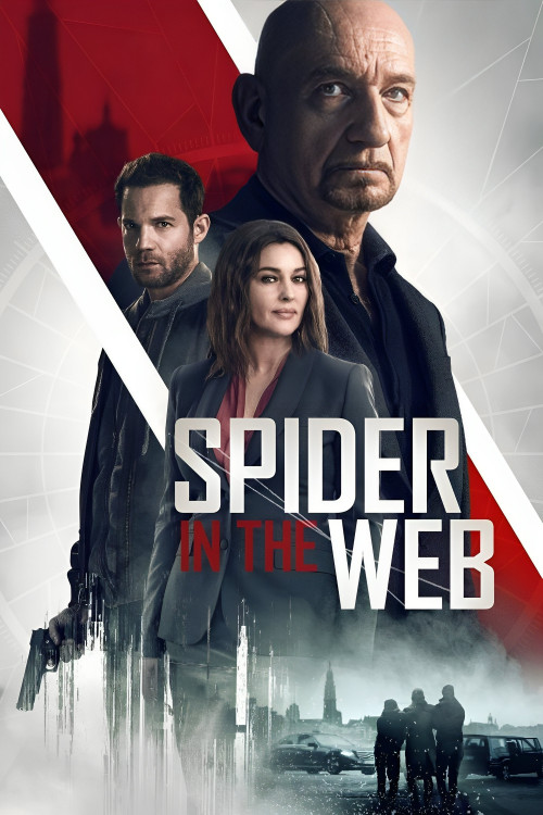 Spider in the Web (2019) poster