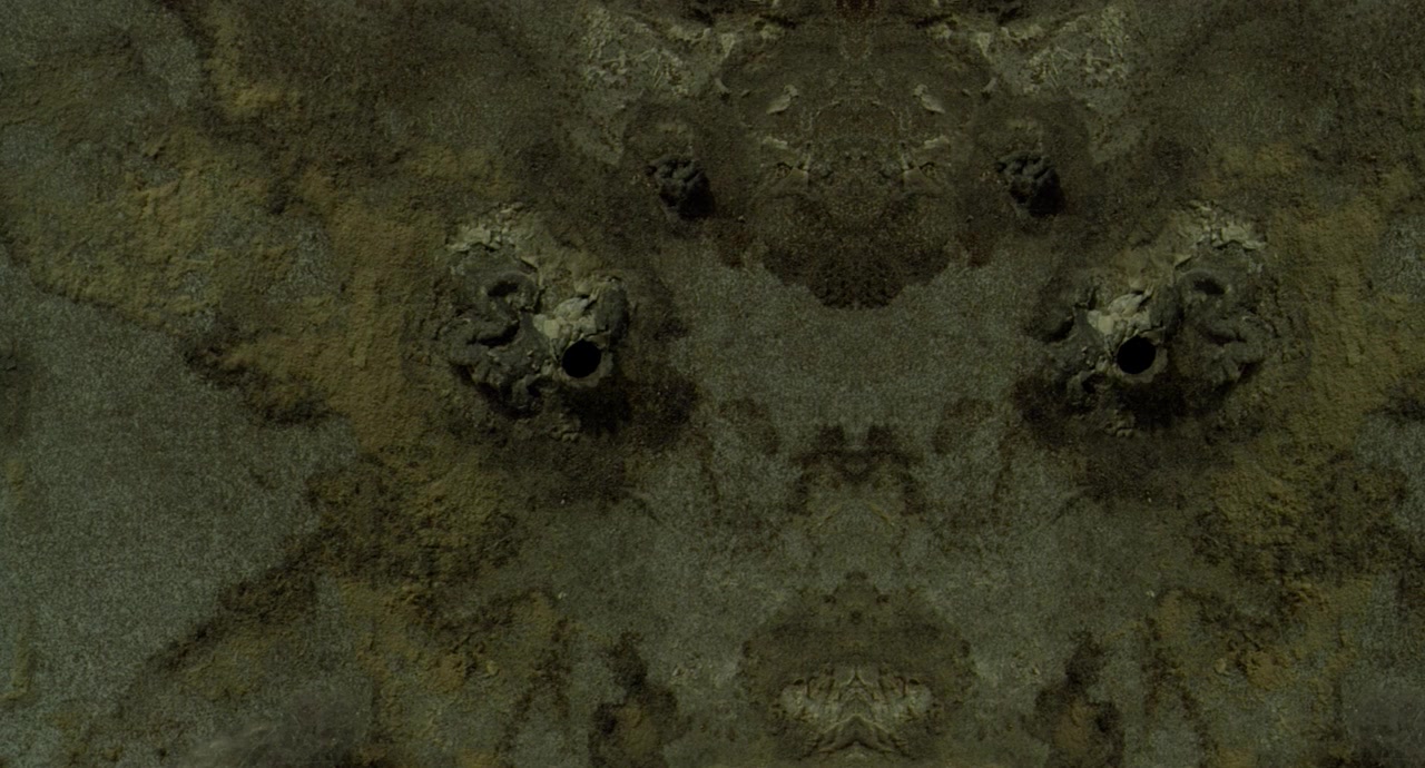 Spider screenshot 1