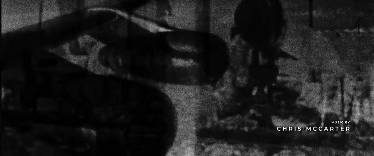 Spiders on a Plane screenshot 3
