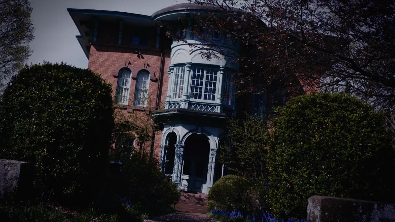 Splitting Image screenshot 1