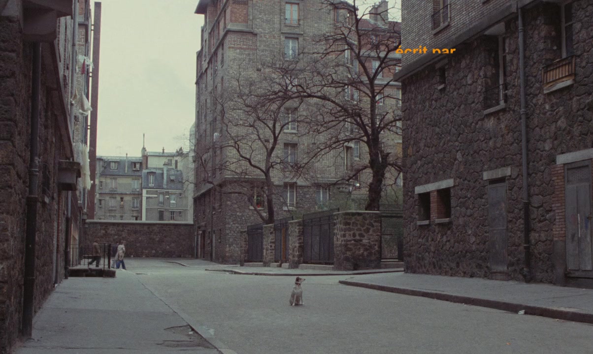 Des enfants gâtés screenshot 1