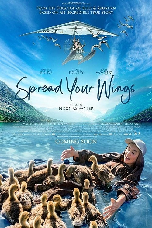 Donne-moi des ailes (2019) poster