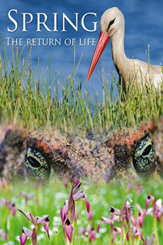 Spring: The Return of Life (2014) poster