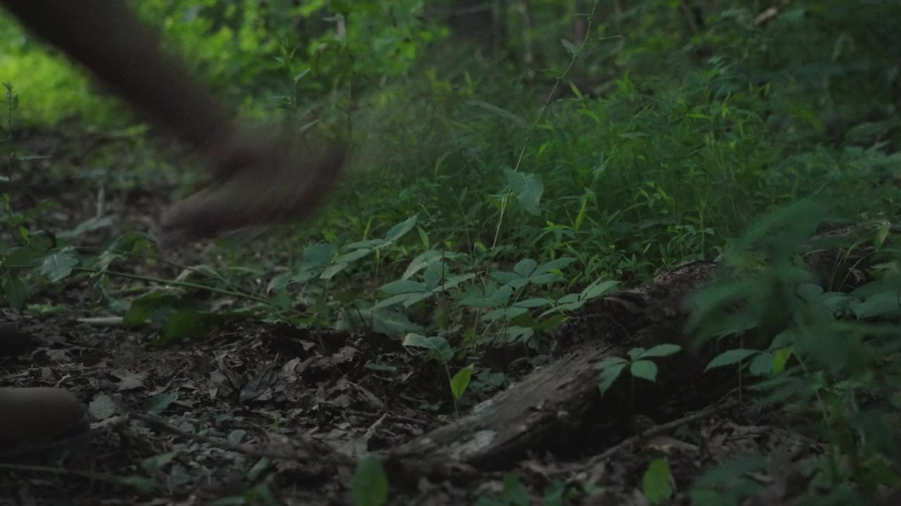 Squatch screenshot 2