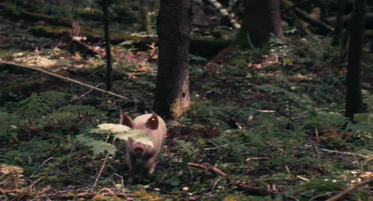 Squeal screenshot 2